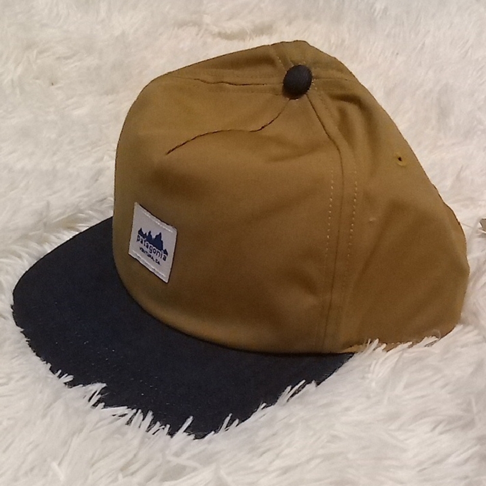 Patagonia Mustard and Black Cap